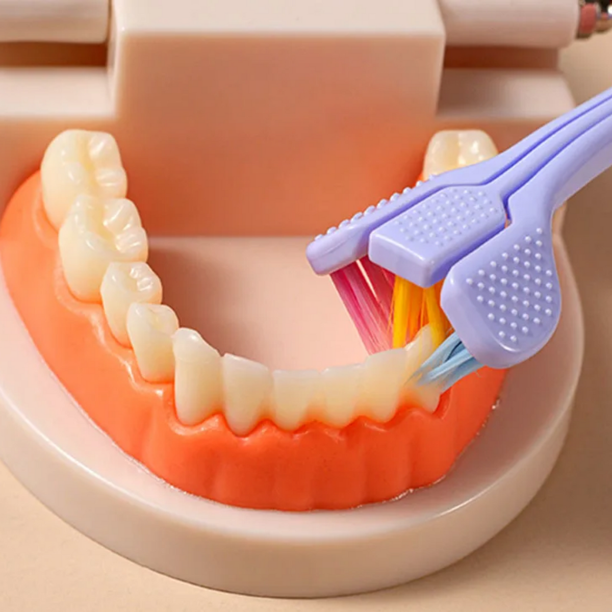 Close-up of the soft three-sided toothbrush head and bristles
