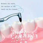 Interdental Brush